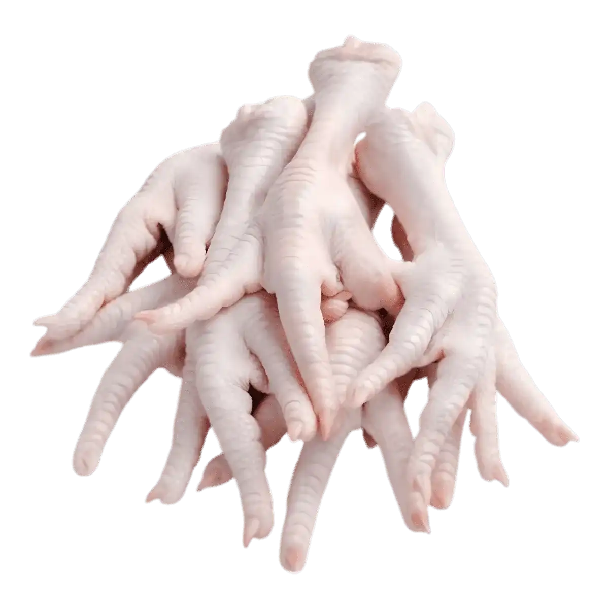 Pattes de poulet halal surgelées, prêtes à cuisiner pour ragoûts et soupes. Volaille fraîche idéale pour plats traditionnels savoureux.